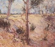 Vincent Van Gogh Trees in a Field on a Sunny Day (nn04) oil painting on canvas